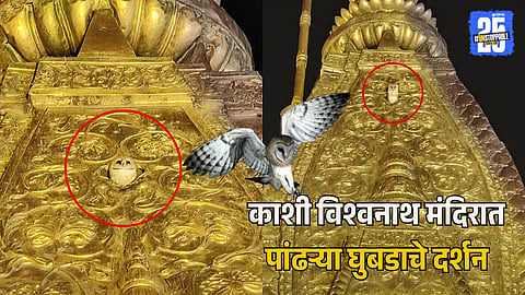 Symbolism Behind the White Owl at Kashi Vishwanath