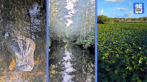 Everglades national park