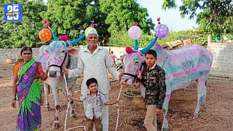 Not Just Bullocks, But Family – Pawane Household’s 50-Year Bond with Sarja-Raja