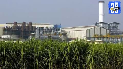 Sugar Industry