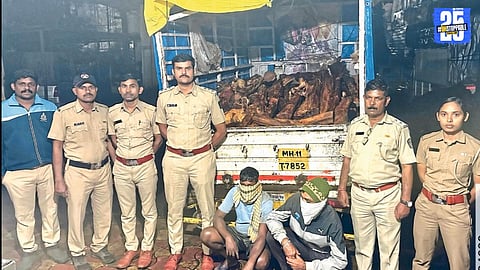 Forest department seizes illegally transported timber and tempo in Dangreghar; two individuals booked under the Khaira timber transport case.