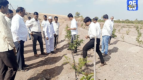 Sweet Success: Phaltan Farmers Expand Fruit Crops on 527 Hectares