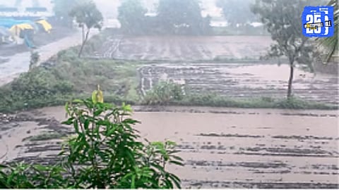 Monsoon