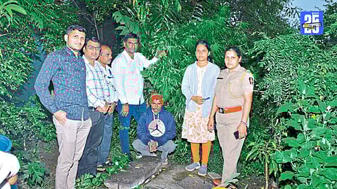 illegal cultivation