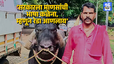 Youth with Bull Stopped from Entering Azad Maidan for Maratha Morcha