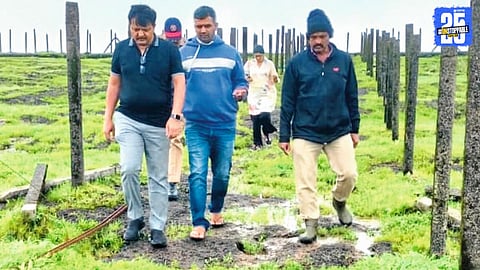 Kas Pathar Floral Festival 2025: Online Booking Required for Visitors