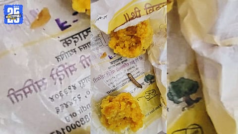 Devotees express outrage after an insect was found inside laddu prasad packet at Vitthal Temple, Pandharpur.