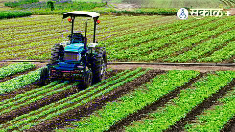 How Farming Traditions Are Changing