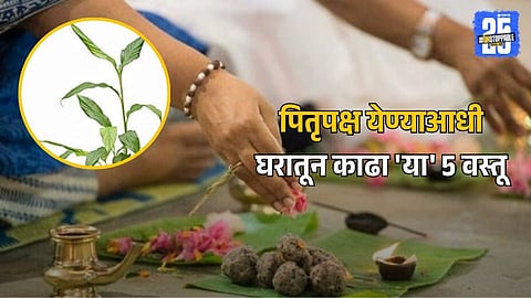 Pitru Paksha Rituals