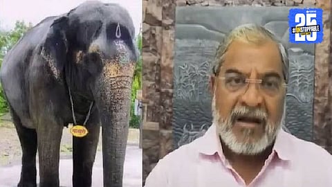 Madhuri Elephant