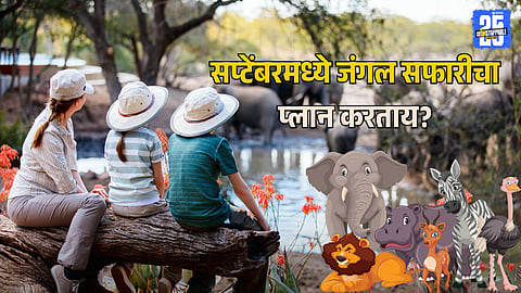 Jungle Safari September
