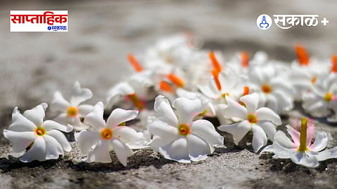 monsoon flowers