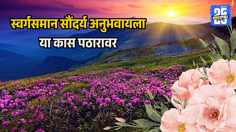 Explore Maharashtra’s Valley of Flowers Near Satara