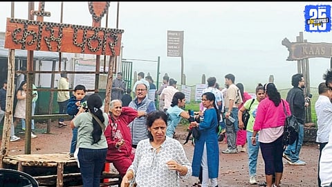 "Thousands of tourists enjoy the blooming beauty of Kaas Plateau, Maharashtra’s Valley of Flowers."