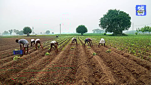 land scam