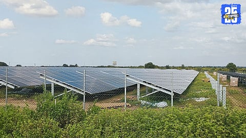 Farmlands in North Solapur leased for a 1,500-acre solar power project under renewable energy development.