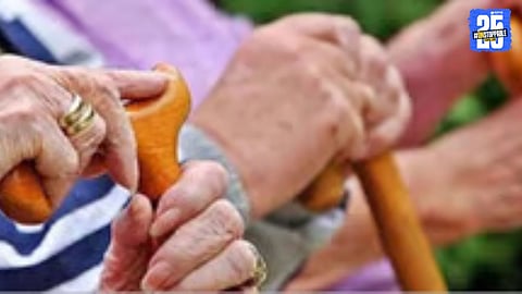 National Struggle Committee raises voice against alleged pension misuse affecting senior citizens.