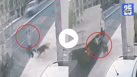 Viral Video : कुत्रा भुंकताच घाबरुन रस्त्यावर पळाला तरुण, समोरुन ट्रक आला अन्..., हृदय पिळवटणारा  व्हिडिओ