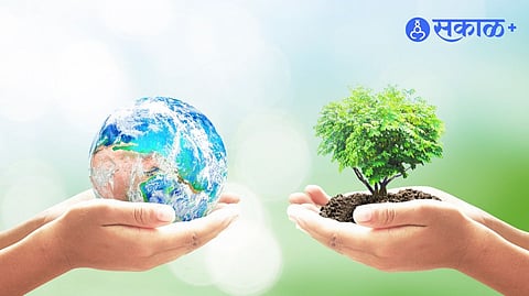 Environmental Audit Rules