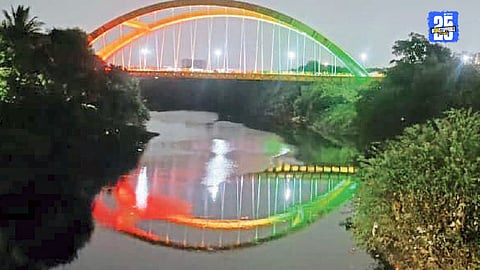 Butterfly Bridge