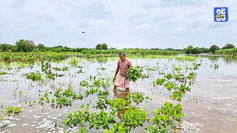 Flood-like situation in Solapur after 5 inches of rain in just 5 hours at Shelgi.