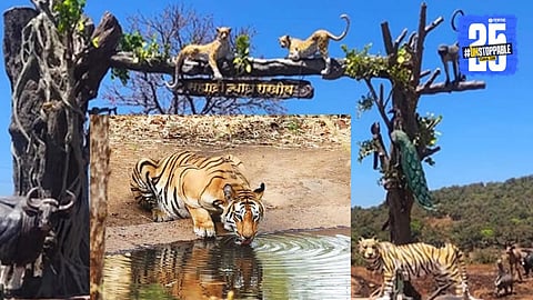 Sahyadri Tiger Reserve