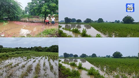 Pachod Rainfall Damage