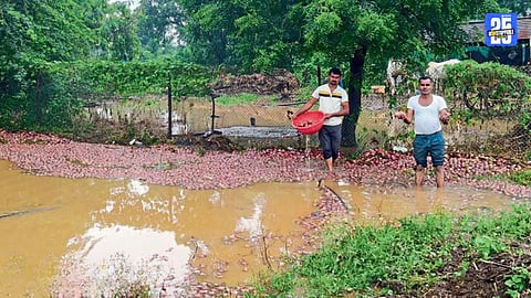 Chh Sambhajinagar Rain