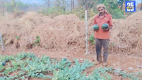 Bhagwan Ahire’s inspiring success: Modern farming technology and hard work turn barren land into a lush green paradise.