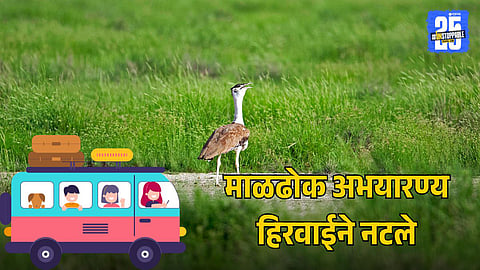 Explore Maldhok Sanctuary Near Solapur