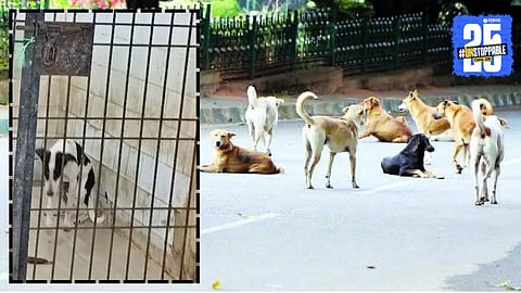 "Yogi Government issues a new order in Uttar Pradesh introducing life imprisonment law even for dogs, sparking state-wide debate."