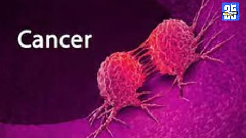 Doctors in Solapur report four new stomach cancer cases daily, linking rise to junk food and poor hygiene.”