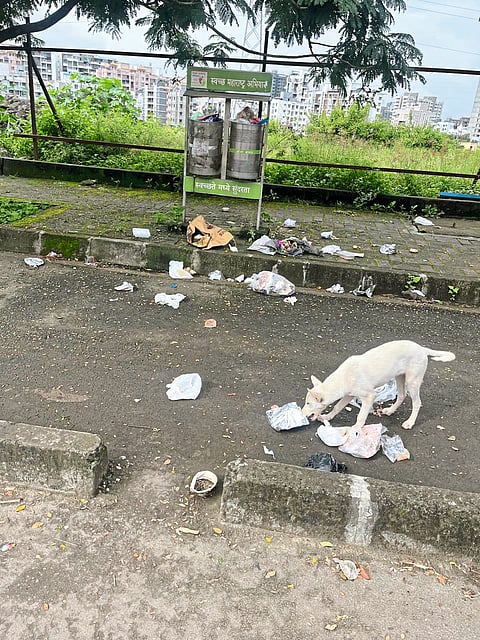 रावेतमधील रस्त्यांच्या कडेला केरकचरा