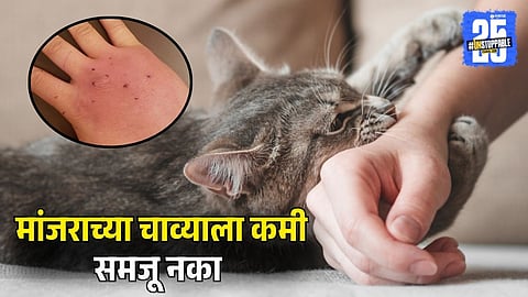 Cat Bite Can Turn Fatal If Ignored