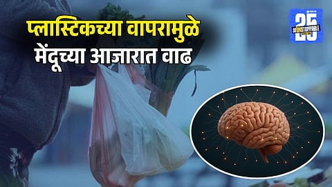 Daily Plastic Use May Cause Brain Disorders