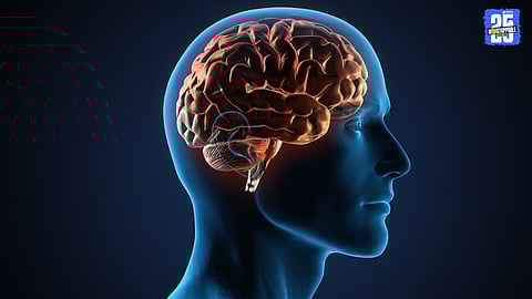 Acute Encephalitis Syndrome