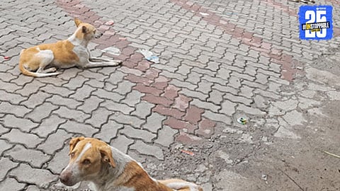 Pune Mumbai Expressway