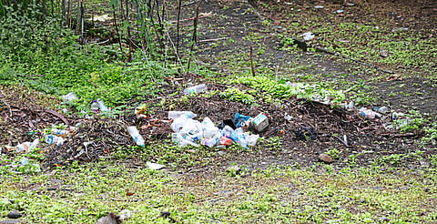 कापसे उद्यान केव्हा टाकणार कात?