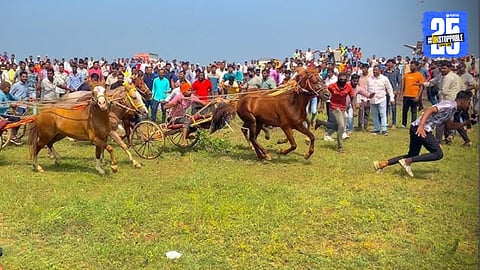 Teenagers Obsessed Crime