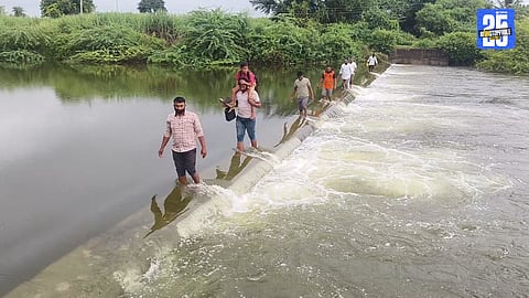 Farmers risking life while crossing the upper bund of Kasal stream, demanding a bridge for safe access.