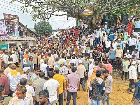 पवनानगर परिसरात बैलपोळा 
पारंपरिक पद्धतीने उत्साहात