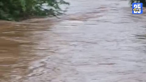 Rescue operation in Wadshinge, Madha Taluka, after Ertiga car was swept away in stream.