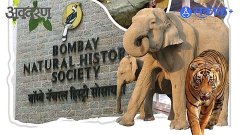 The Foundation of Indian Natural History: The Story of BNHS
