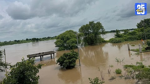 agriculture loss in parli vaijnath by heavy rain