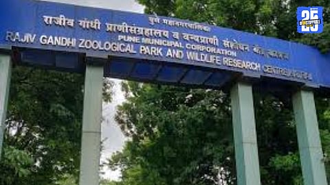 katraj zoological park
