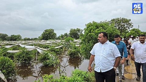Flooded fields along Kasal stream in Pandharpur Taluka after heavy overnight rain, damaging crops.
