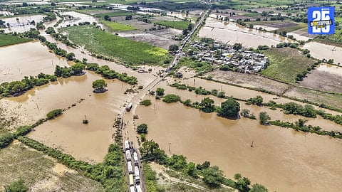 marathwada flood water