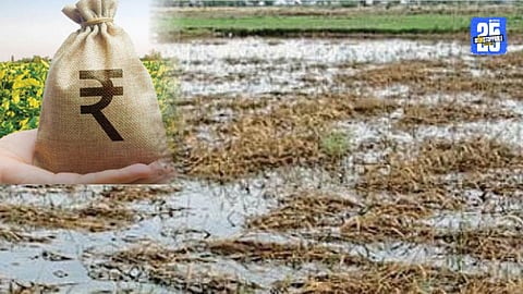 Ahilyanagar farmers set to receive ₹846 crore relief package before Diwali, bringing timely support and cheer.