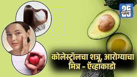 Health Benefits of Avocado