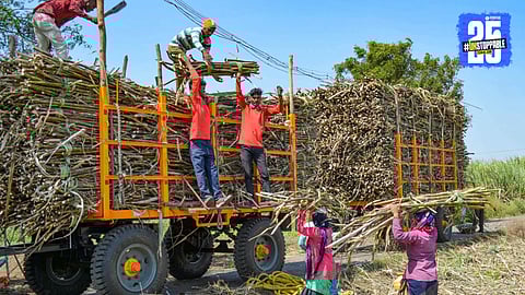 Sugarcane Price 2025